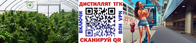 Купить  Дмитров  Дистиллят ТГК вейп 
